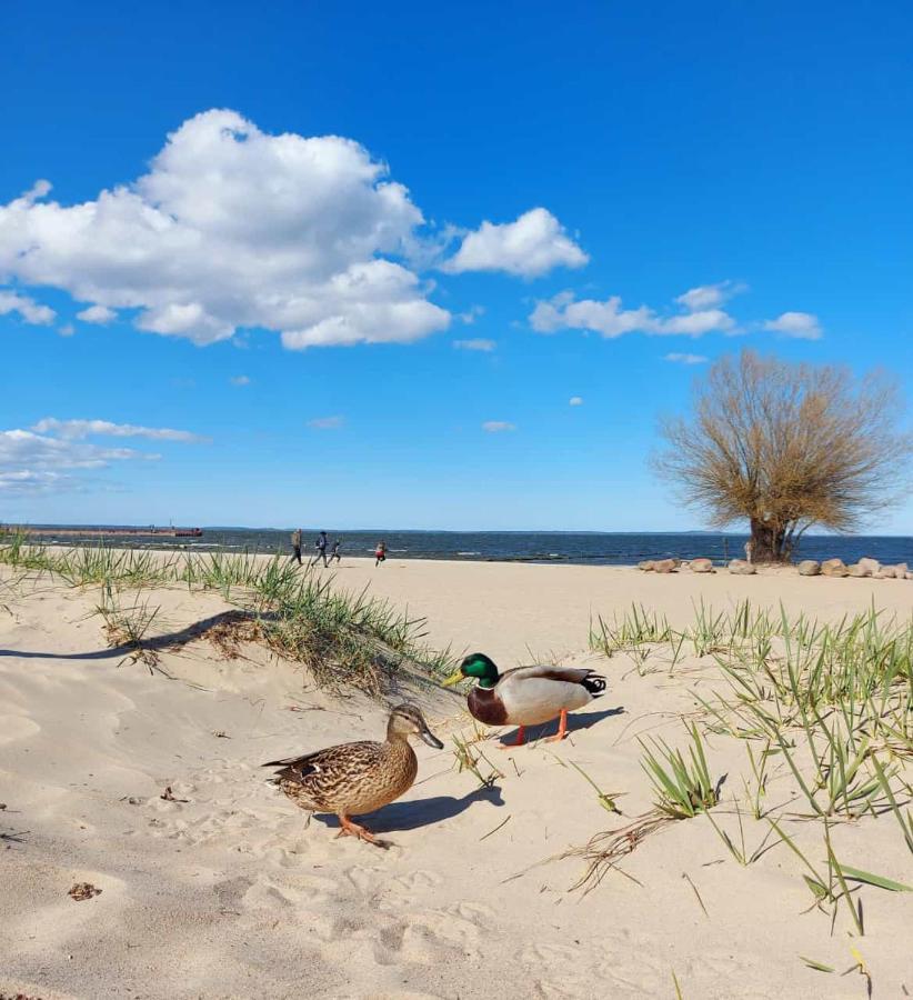 Ferienwohnung Ab Zum Haff Ueckermünde Kültér fotó