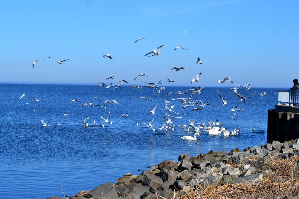 Ferienwohnung Ab Zum Haff Ueckermünde Szoba fotó